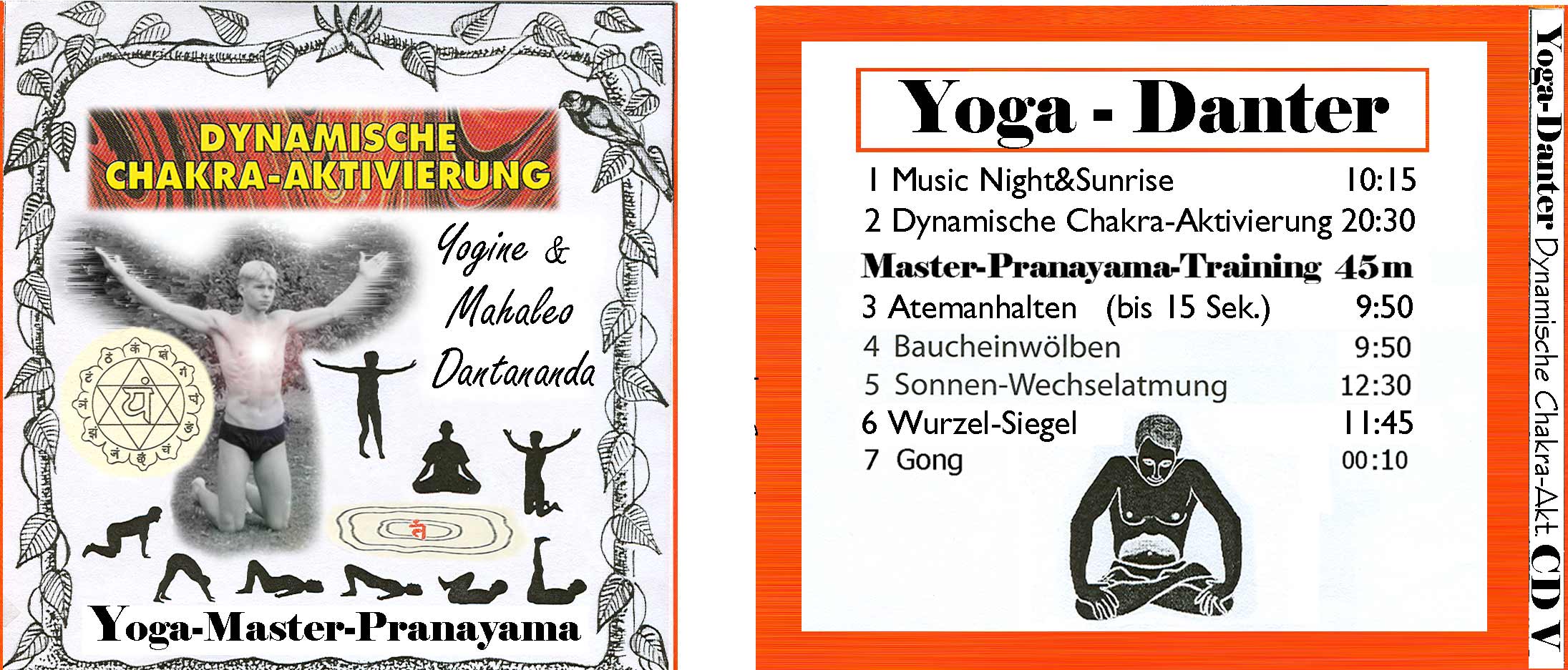 cd6 dynamische chakra aktivierung